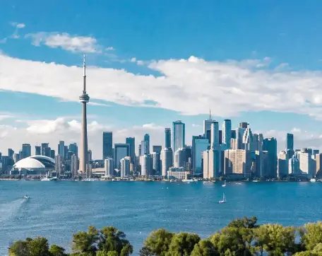 Downtown Toronto Condo Cabinet Painting - Paint My Condo